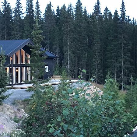 Lillebjorn Villa Trysil Luaran gambar