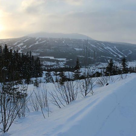 Lillebjorn Villa Trysil Luaran gambar