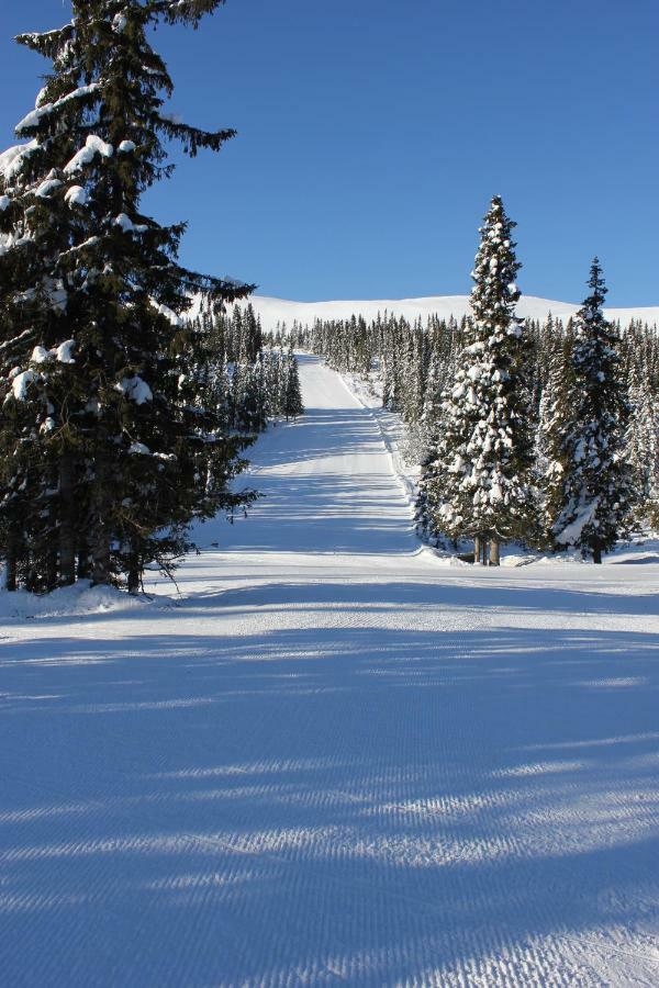 Lillebjorn Villa Trysil Luaran gambar