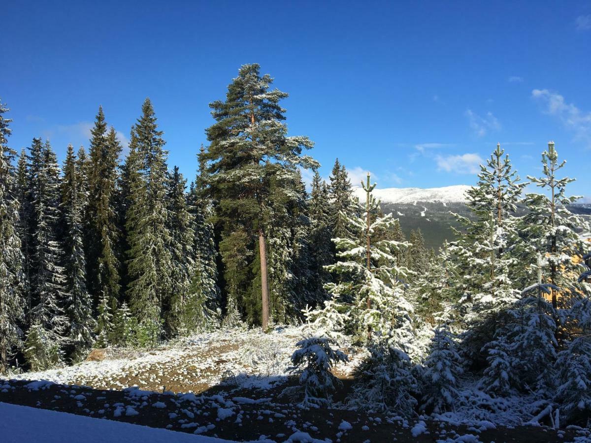 Lillebjorn Villa Trysil Luaran gambar