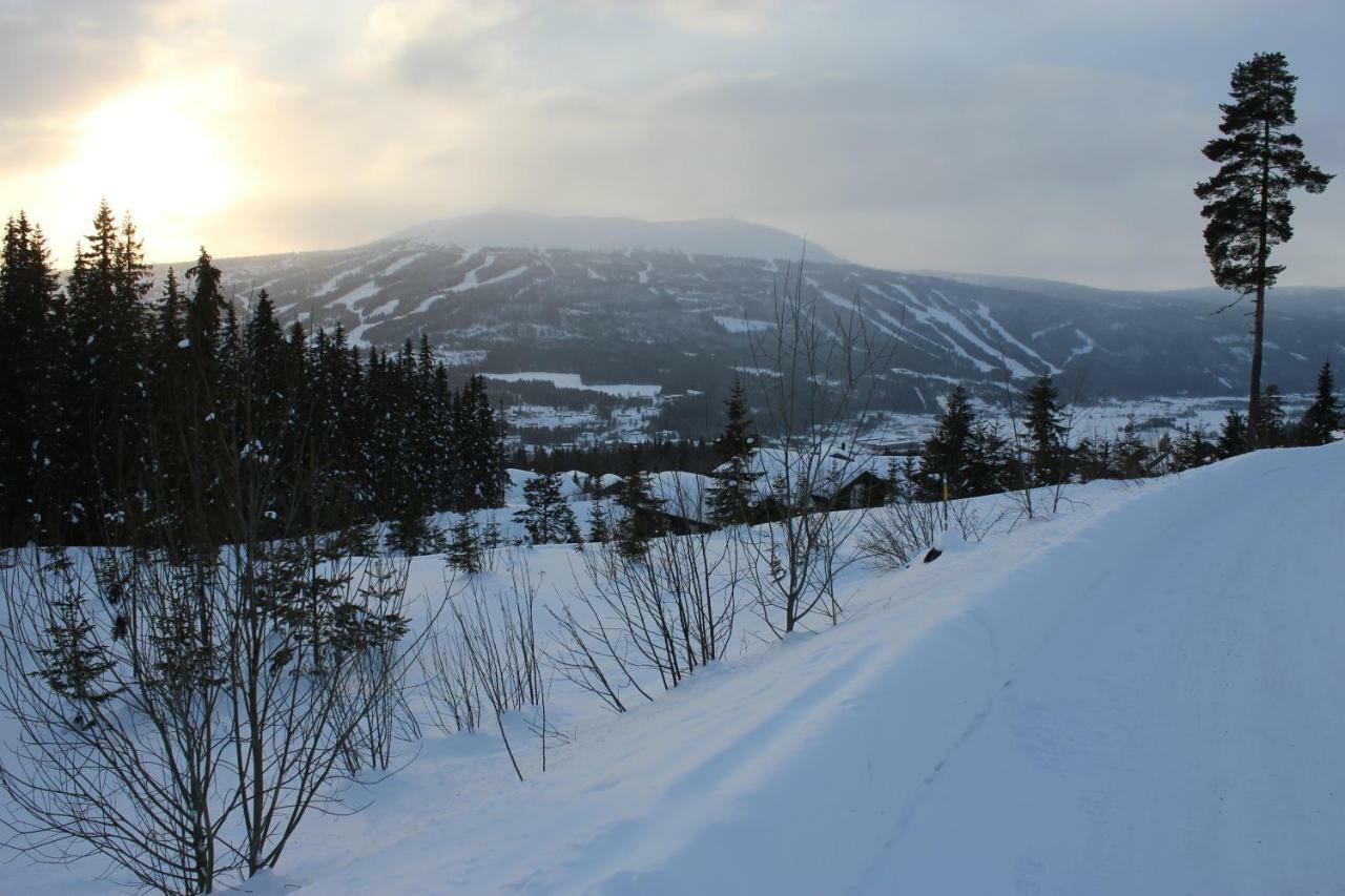 Lillebjorn Villa Trysil Luaran gambar